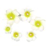 6Pcs Hawaiian Plumeria Flower Hair Clips with Pearl, 5cm and