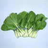 Chinese Cabbage Seeds - Osaka Shirona - 1 Oz ~11400