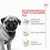 ROYAL CANIN, Puppy - Pug, Croquetas para Perro, 1.1kg