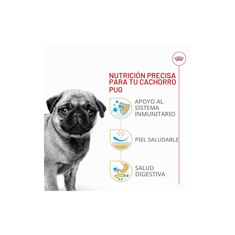 ROYAL CANIN, Puppy - Pug, Croquetas para Perro, 1.1kg