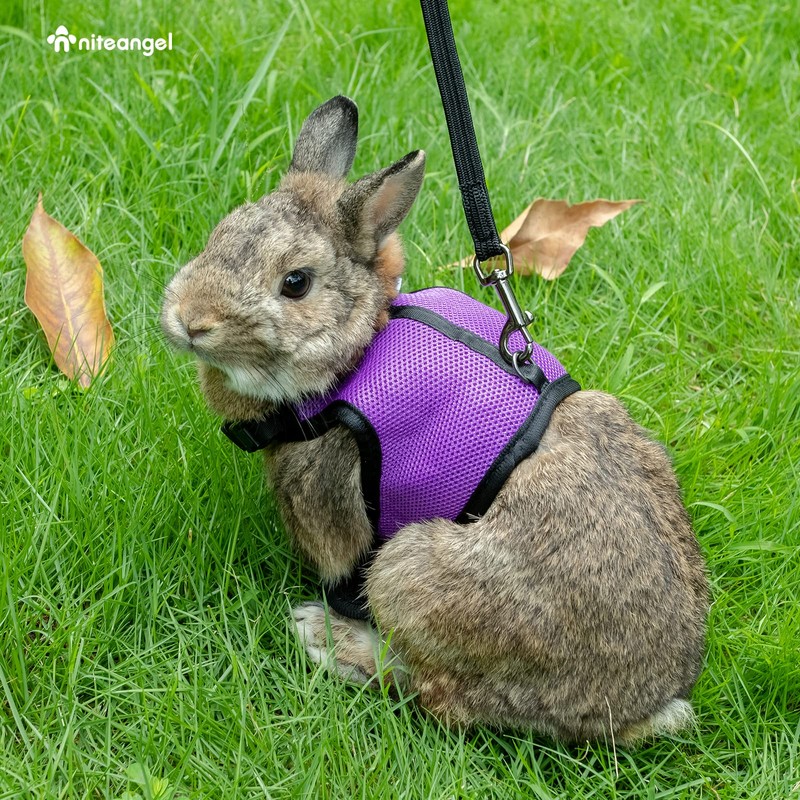 Niteangel Adjustable Soft Harness with Elastic Leash for Rabbits (M,