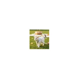 Pet Supply for dogs, cats and daily pet care, pet care accessory or treat, Pet Care Essential, pet care or, Everyday Use, Travel, Home or, Option 24
