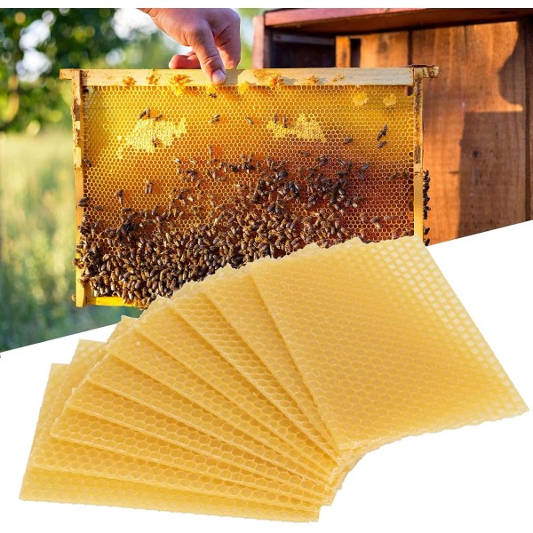 Does not apply 10Pcs Natural Beeswax Sheets Beeswax Honeycomb Sheets
