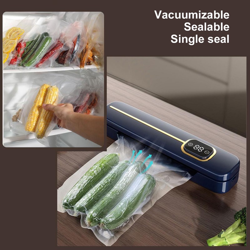 Vacuum Sealer Machine Multifunctional Portable Compact Wet Dry Dual Use