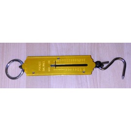 Format 4030884805152 – taschenfederwaage 25 kg kilo/Kilo