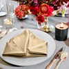 Kalopro 12pieces Champagne Gold Cloth Napkins,Satin Champagne Gold Table Napkins