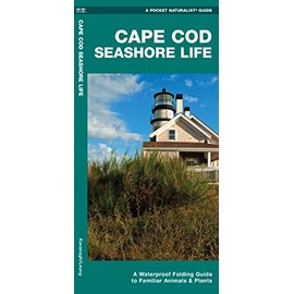 Cape Cod Seashore Life: A Waterproof Folding Guide to Familiar Animals & Plants