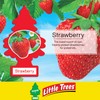 LITTLE TREES Car Air Freshener | Hanging Paper Tree for