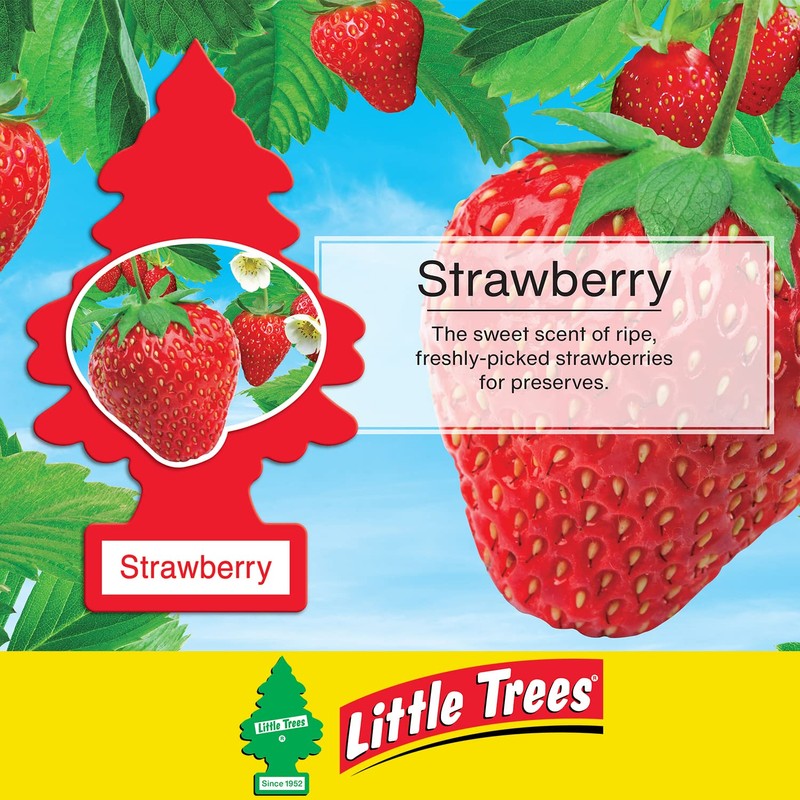 LITTLE TREES Car Air Freshener | Hanging Paper Tree for
