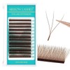 W Lash Extensions 3D Eyelash Extensions Volume Premade Fan Individual