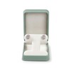 Papten H17201 Earrings Case, PU Leather, Portable, Mini, 1 Piece,