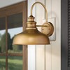 zeyu Modern Barn Lighting, 11 inches Gooseneck Light Fixture Indoor
