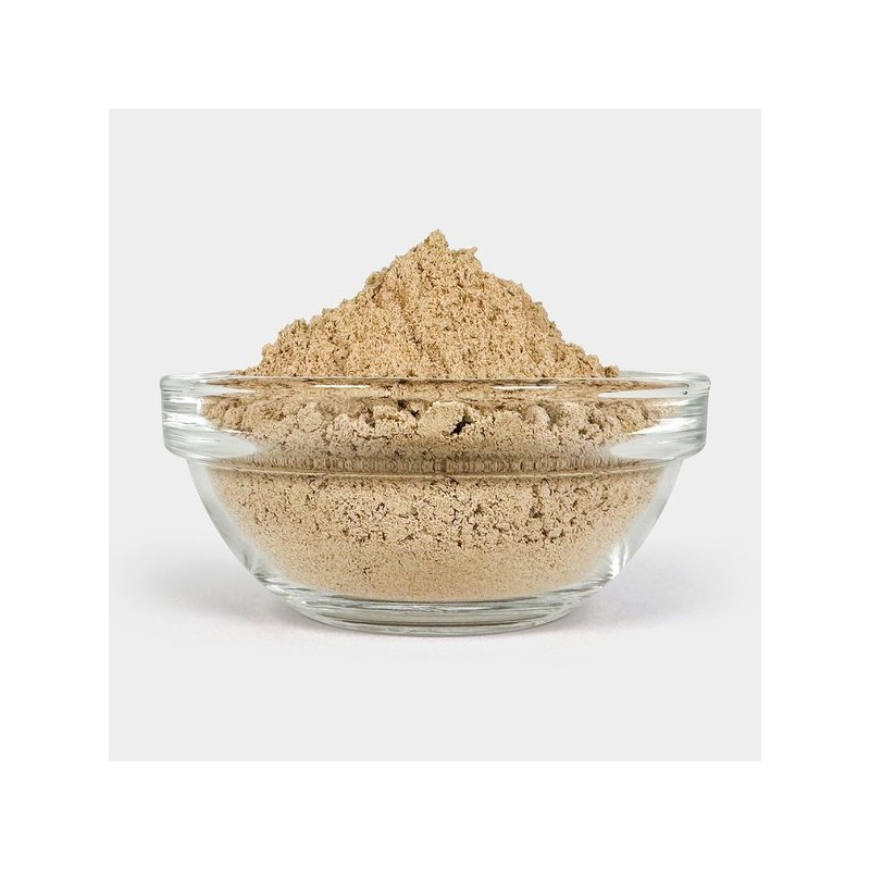 Oherb 고운 차전자피 분말 500g 차전차피 질경이 껍질 가루 실리엄허스크