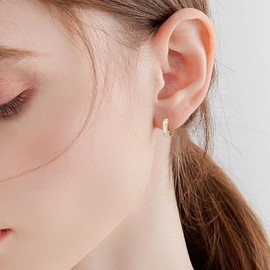 STAYLOVE Small Gold Hoop Earrings for Women 14K Real Gold Plated Mini Cartilage Hypoallergenic Cubic Zirconia Birthstone Gold Huggie Earrings for Women (April)