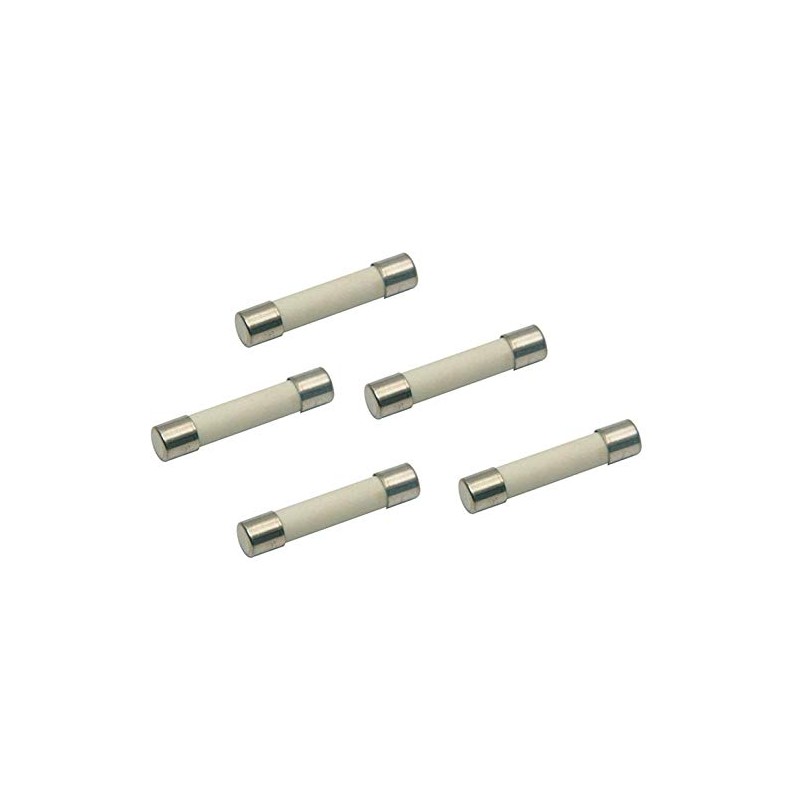 (5 Pack) Microwave Replacement Fuse, 20A, 250V, Ceramic Line Fuse,