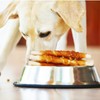HealthyBones Chicken Breast Wrapped Natural Dog Treats for Pomchi and