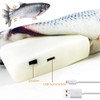 BangShou 2 Pieces Electric Moving Fish, Cat Toy Realistic Flopping