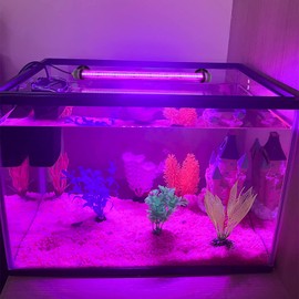 Submersible Fish Tank Aquarium Light: Bright Aquarium Lighting Full Spectrum - Adjustable Brightness Colors Change Underwater Led Strips with Remote and Suction Cups for Aquarium Fish Tank-5in