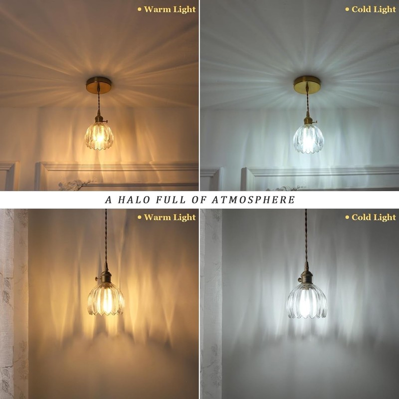Battery Operated Pendant Light,Petal Glass Battery Chandelier Light with Rechargeable