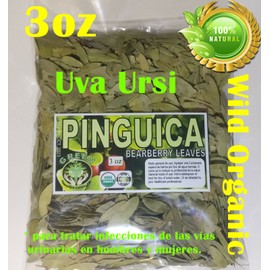 Green Remedios pinguica hojas, pointleaf manzanita,arctostaphylos, Bearberry leaves, uva ursi !