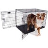 Precision Pet 2-Door ProValu2 Crate - Black - 36" x