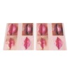 2pcs Lip Practice Skin 4 Lip Shapes Permanent Makeup Lip