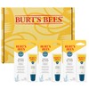 Burts Bees Valentines Day Gifts, Rescue Lip Relief with Shea