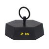 EISCO Hexagonal Mass, 2 Pounds - with Lifting Ring -