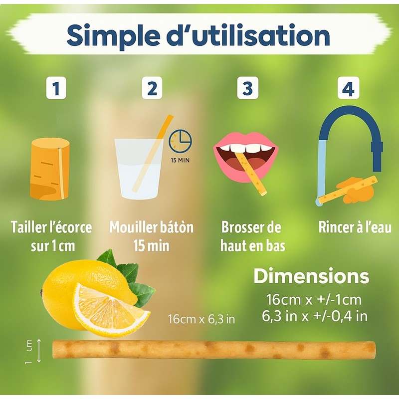 Siwak Aromatisiert – Miswak Stick nach Wahl Minze, Nelke, Zitrone