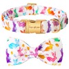 Unique style paws Easter Dog Collar, Holiday Bunny Eggs Dog