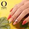 Organic Nails Kit 3 pz Protein Bond 10ml
