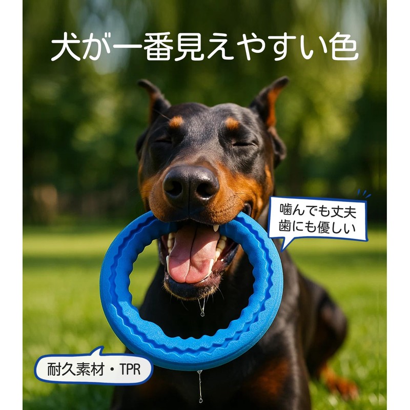 HOLYCAT 犬 噛むおもちゃ 硬い 頑丈 中型犬 大型犬 フリスビー 犬 輪っか
