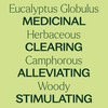 Plant Therapy Plant Therapy Eucalyptus Globulus Essential Oil 100 mL