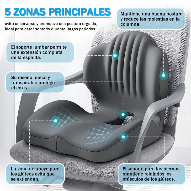 Cojín de Espalda y de Silla Combinado, Cojín y Asiento