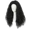 Long Curly Black Wigs Men Women Long Black Wig Rocker