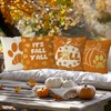QIONG MENG Fall Pillow Covers 18x18 Inch Set of 4