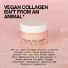 Pacifica Vegan Collagen Recovery Eye Cream 0.5 Oz