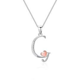 Mesovor 925 Sterling Silver Initial Necklace for Women, Dainty Sterling Silver Letter Cubic Zirconia Necklace Jewelry Gifts for family Mother Sister Wife (Letter-G)