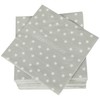 Napkins in Practical Pack of 100 (5 x 20) 33