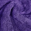 BW&HM 5 x 40cm Purple Super Absorbent Microfibre Car Motorcycle