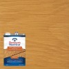 Thompson's Waterseal Semi Transparent Waterproofing Wood Stain Desert Tan 1