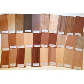30 Pieces Wood Veneer Identification Labeled Pack Named Name Variety Domestic Marquetry Pack Inlay kit
