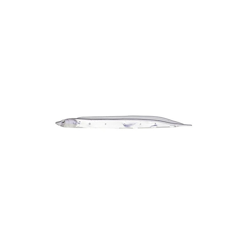 Fish Arrow (fissyuaro-) Worm Flash – J 3 sirasu SW # 146 keikurakuria/Small.