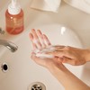 Abka [Abca] Native Lactobacillus Lactocare Hypoallergenic Mildly Acidic Feminine Cleanser
