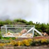 2 Pack Transparent Hermit Crab Water Tanks with Cuttable Climbing