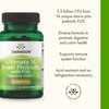 Swanson Swanson Dr. Stephen Langer's Formula - Natural Probiotic w/Prebiotic
