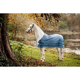 Horseware AmECO Liner (100 g Medium-Lite), Size: 87, Colour: Teal (Grey Border)