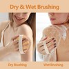 GOZINA Dry Brush Body, Body Brush, Natural Bristles, Dry Brush