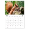 Squirrels - Tiny Explorers (Monthly Wall Calendar 2026 16.5" x