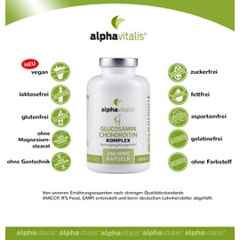 Glucosamine + Chondroitin Complex with Hyaluronic Acid, MSM, Zinc, Manganese - Vegan - 240 Capsules without Magnesium Stearate - Joint Capsules from alphavitalis